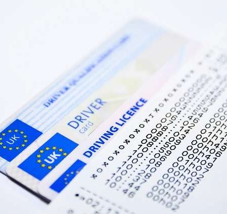 führerschein kaufen auf raten