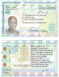 diplomatenausweis