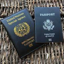 diplomatenstatus kaufen